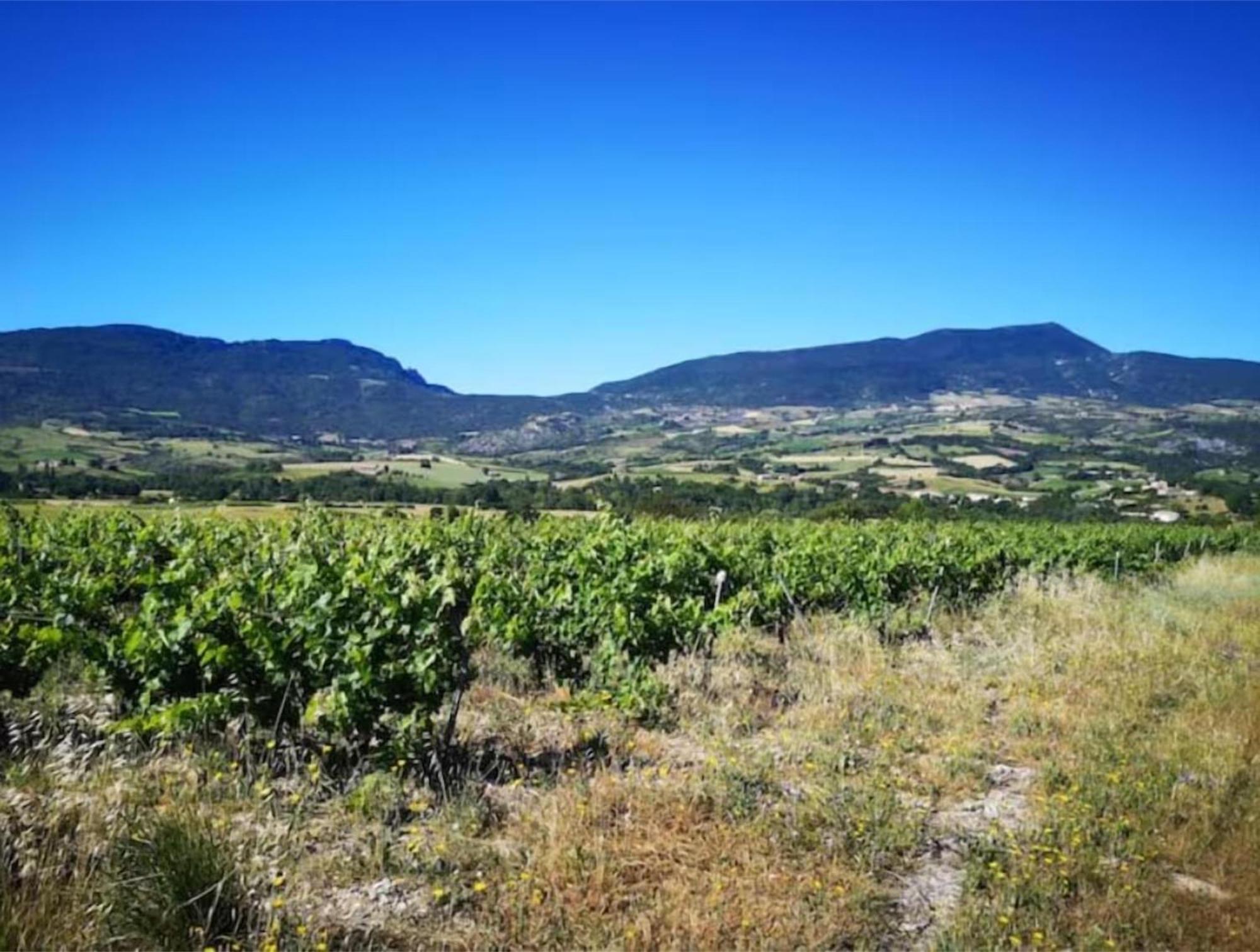 Вилла Le Cigalou - Drome Provencale Sainte-Jalle Экстерьер фото